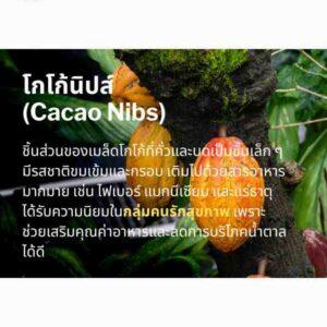 โกโก้นิบส์ ออร์แกนิค 100% ปลอดสารเคมี อุดมสารต้านอนุมูลอิสระ บำรุงหัวใจ ชะลอวัย คุมน้ำตาลในเลือด
