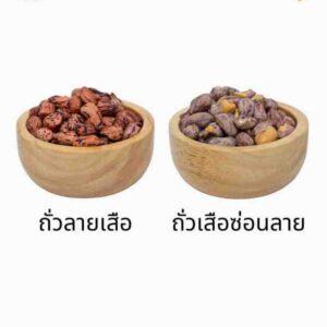 ถั่วลายเสือ