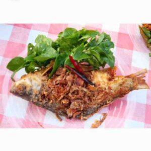 ปลาส้ม ปลาตะเพียน